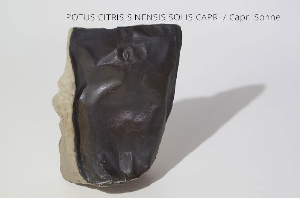 QUISQUILIAE OBLITI | POTUS CITRIS SINENSIS SOLIS CAPRI / Capri Sonne